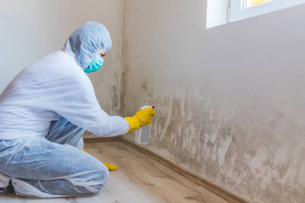 Hvac And Air Duct Mold Remediation inspection of HVAC system in Maple Grove